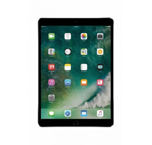 iPad Pro 12,9-inch Wi-Fi + Cellular 512GB Spacegrijs  Apple