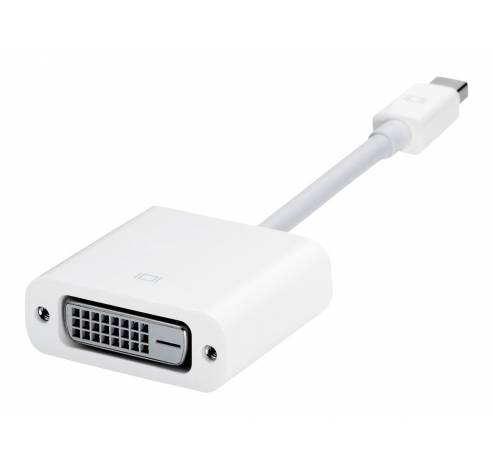 Mini DisplayPort-naar-DVI-adapter  Apple