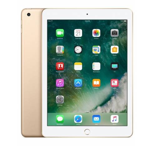 iPad Wi-Fi 128GB - Goud (2018)   Apple
