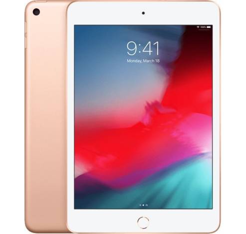 iPad Mini Wi-Fi 256GB Goud  Apple