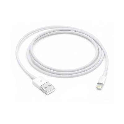 Lightning to USB Cable (1 m) Apple