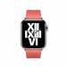 Bandje met moderne gesp 40mm Pink Citrus Small Bandje met moderne gesp 40mm Pink Citrus Small