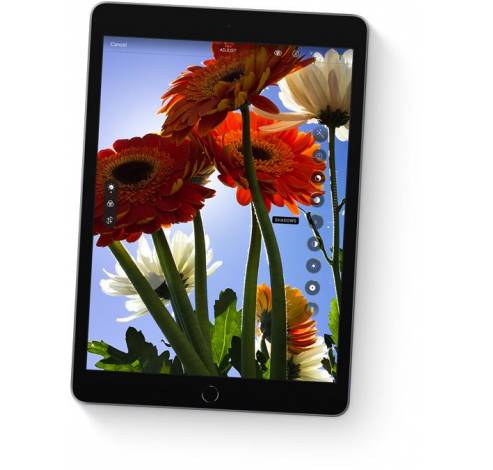 10.2-inch iPad Wi-Fi + Cellular 64GB Space Grey  Apple