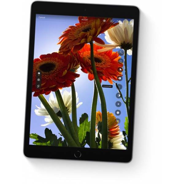 Apple Tablet 10.2-inch iPad Wi-Fi 256GB Silver