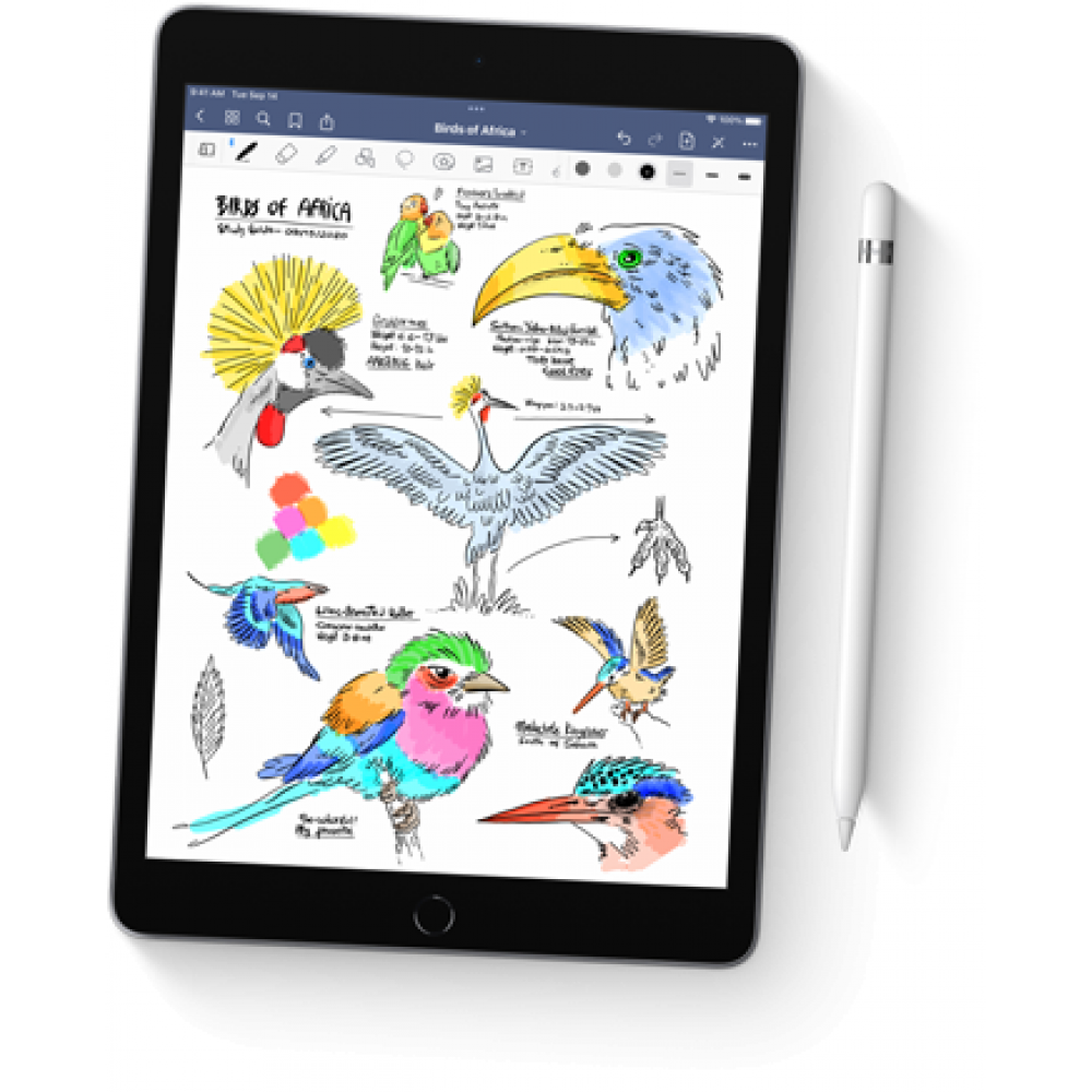 Apple Tablet 10.2-inch iPad Wi-Fi + Cellular 256GB Space Grey