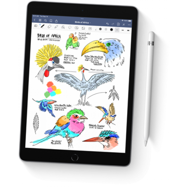 Apple Tablet 10.2-inch iPad Wi-Fi 256GB Space Grey