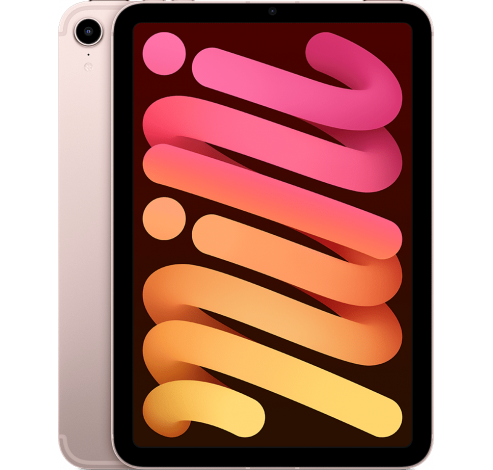 iPad mini Wi-Fi 256GB Pink  Apple