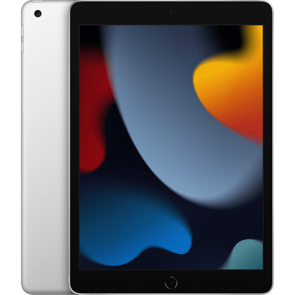 10.2-inch iPad Wi-Fi + Cellular 256GB Silver  