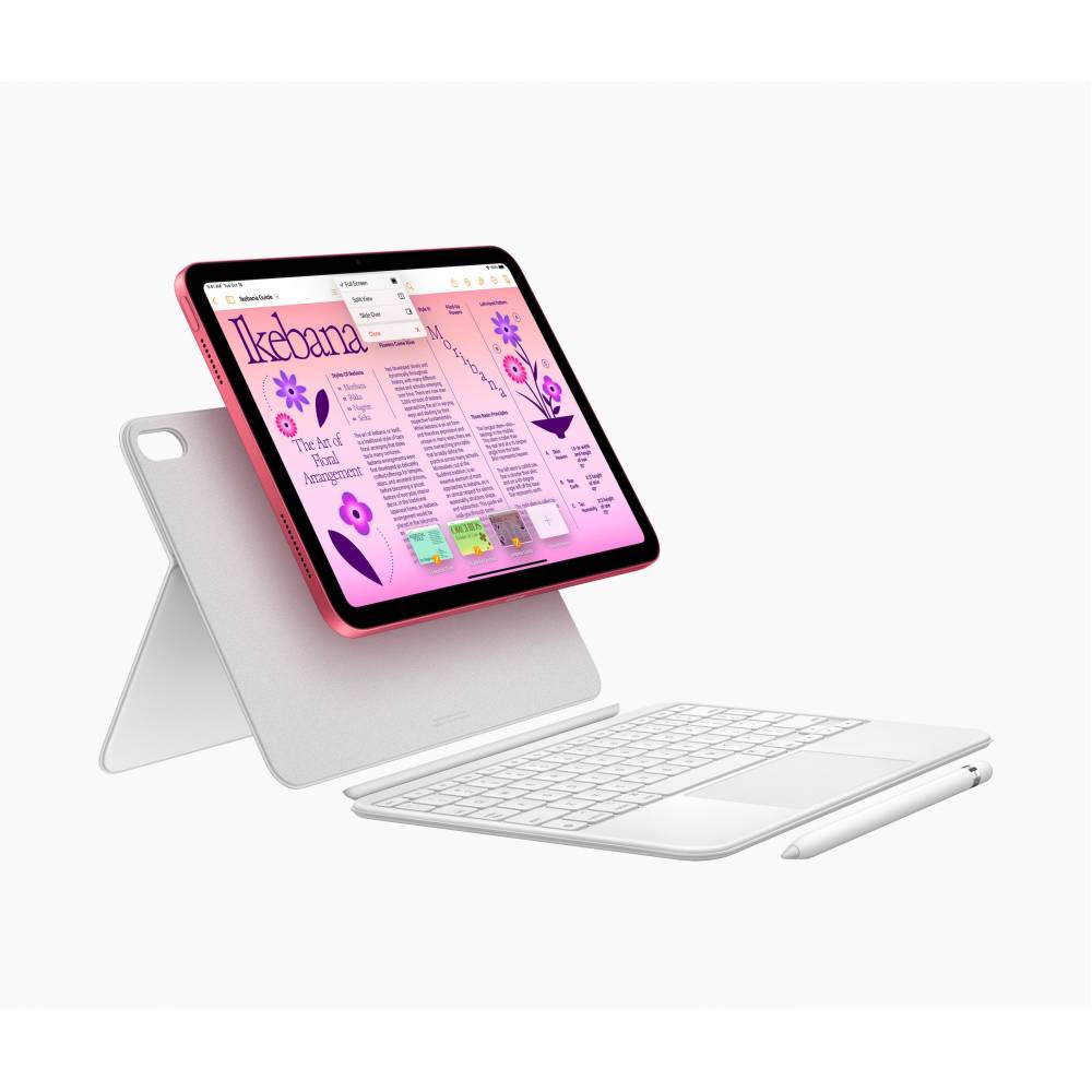 Apple Tablet 10.9inch iPad WiFi + Cellular 256GB Pink