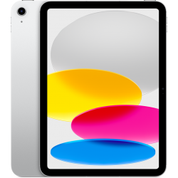 Apple 10.9inch iPad WiFi 256GB Silver