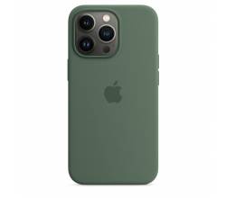 Siliconenhoesje met MagSafe voor iPhone 13 Pro Eucalyptus Apple