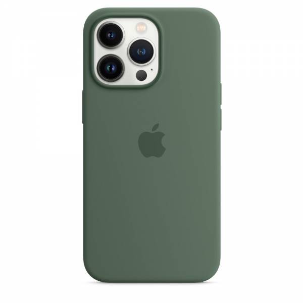 Siliconenhoesje met MagSafe voor iPhone 13 Pro Eucalyptus 