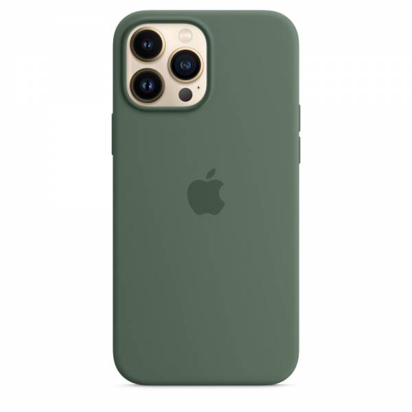 Siliconenhoesje met MagSafe voor iPhone 13 Pro Max Eucalyptus 