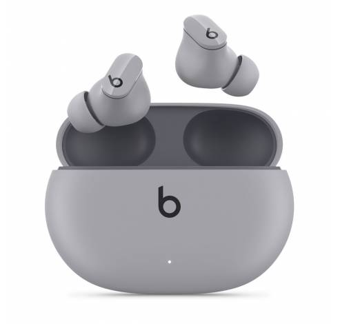 Beats Studio Buds Draadloze ruisonderdrukkende oortjes Stormgrijs  Apple
