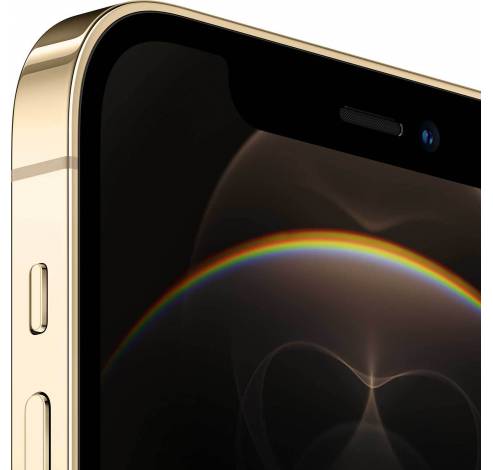 Refurbished iPhone 12 Pro 256GB Gold C Grade  Apple