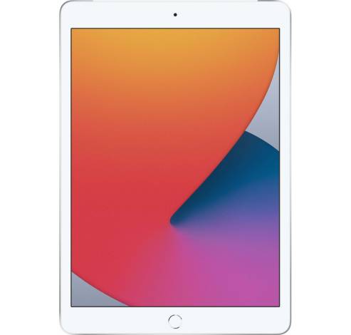 Refurbished iPad (2020) 32GB Wifi + 4G  Silver A Grade  Apple