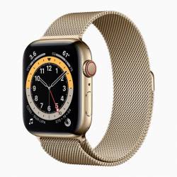 Apple Refurbished Watch Series 6 40mm Steel Gold C Grade 