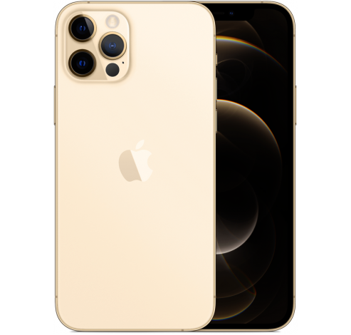 Refurbished iPhone 12 Pro 256GB Gold B Grade  Apple