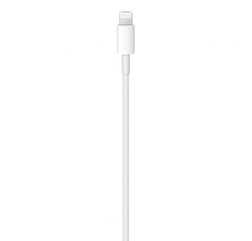 USB-C to Lightning Cable (1m)  Apple