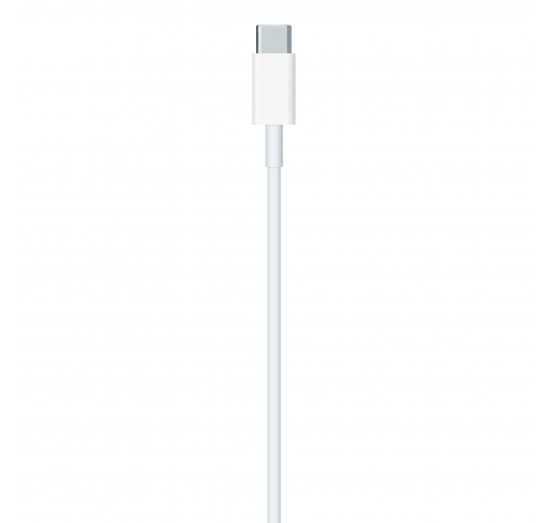 USB-C to Lightning Cable (1m)  Apple