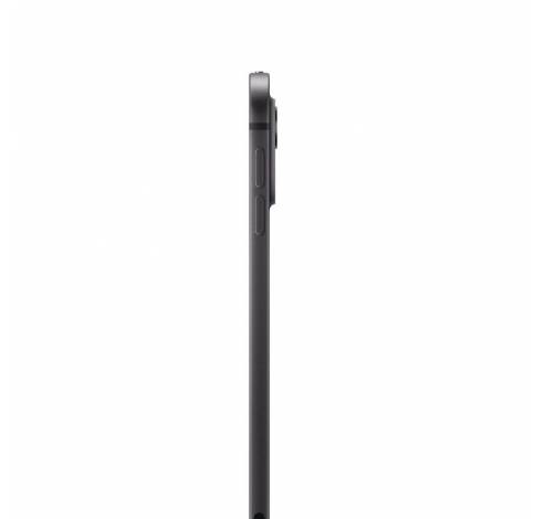 iPad Pro M4 11inch WiFi 256GB Standard Glass Space Black  Apple