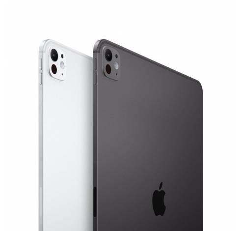 iPad Pro M4 11inch WiFi 256GB Standard Glass Space Black  Apple