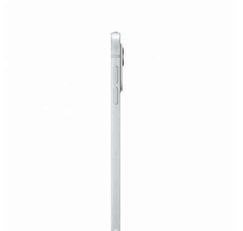 iPad Pro M4 11inch WiFi 256GB Standard Glass Silver  Apple