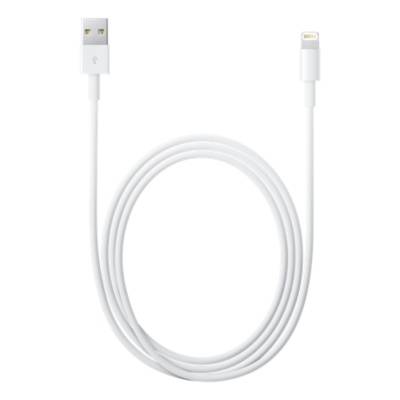 Lightning to USB cable 0.5 m Apple