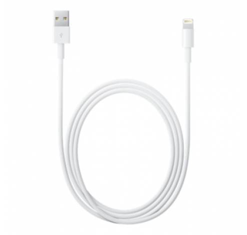 Lightning to USB cable 0.5 m  Apple