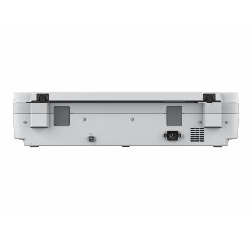 Epson WorkForce DS-50000 - flatbed scanner  Epson