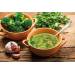 SB 2390 Soup Maker & Blender Fritel SB 2390 Soup Maker & Blender Fritel