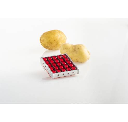 150041 Potato chipper  Fritel