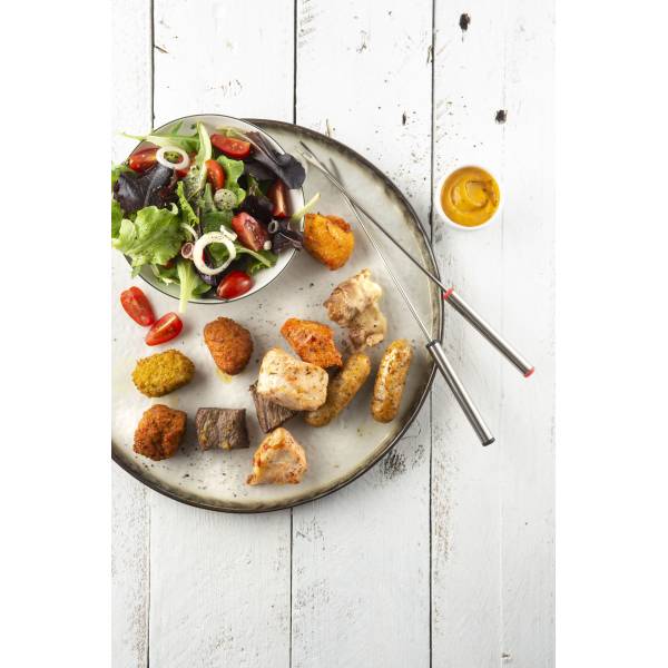 FO 4290 Intelligent Fondue Fritel FO 4290 Intelligent Fondue Fritel