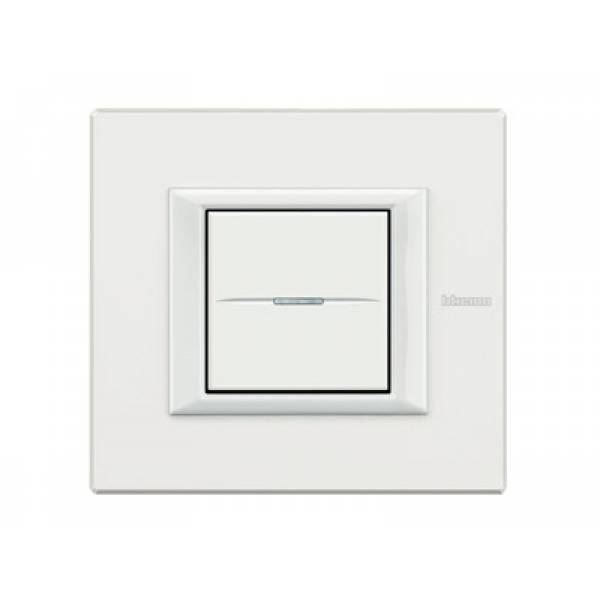 Axolute White Axolute White