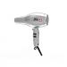 Swiss Perfection 360° IonicPRO Silver (Type 440) 
