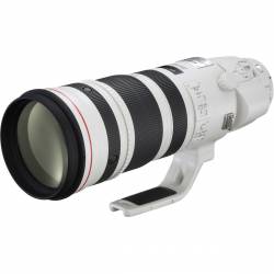 Canon EF 200-400mm/F4.0L IS USM Ext 1.4x 