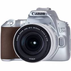 Canon EOS 250D Silver 18-55 S CP 