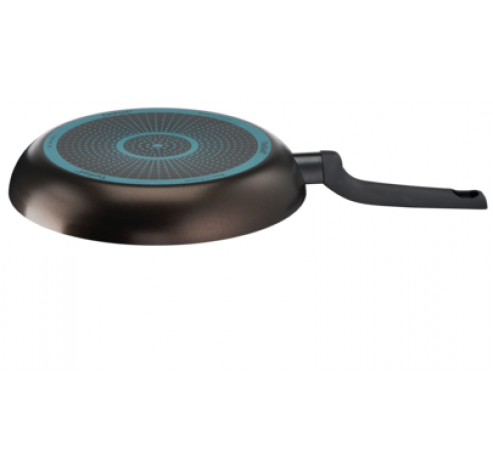 Easy Cook & Clean Poele D24cm Tous Feux Sauf Induction  Tefal