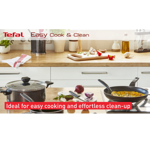 B5544402 Easy Cook & Clean kookpot met deksel 20cm  Tefal