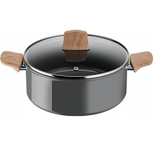 C4254613 Renew Kookpot 24cm  Tefal