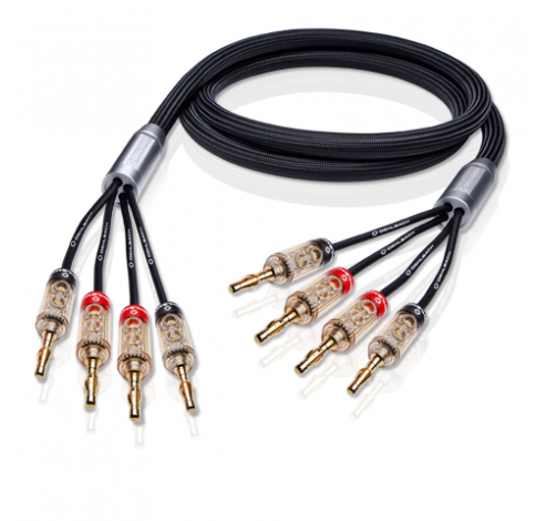 14325 XXL Fusion Four LS kabel 2x30m  4-->4 banaanstekker  Oehlbach