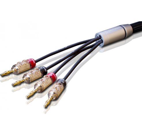 14325 XXL Fusion Four LS kabel 2x30m  4-->4 banaanstekker  Oehlbach