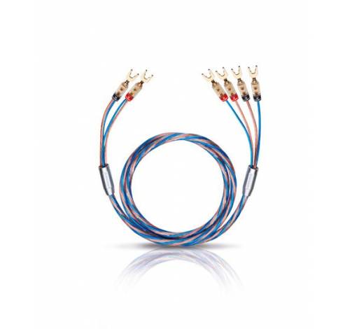 10802 Bi Tech 4B LS kabel 2x2.5/2x4.0 mm² 2m kabelschoenstekker  Oehlbach