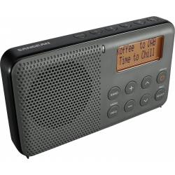 DPR-64 receiver DAB+/FM grijs/zwart 