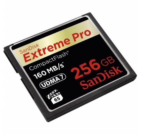 CF Extreme Pro 256Go 160MB/sec  Sandisk