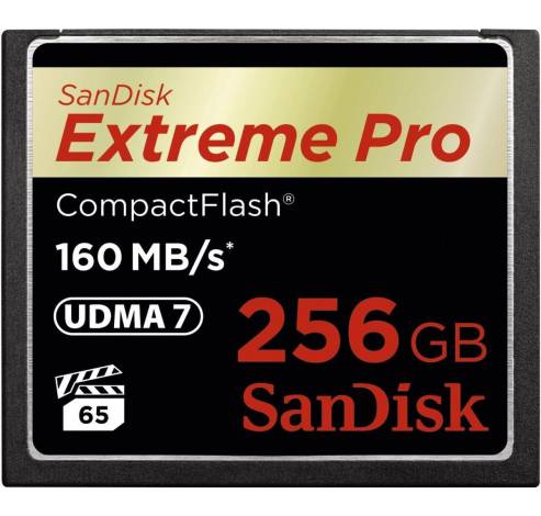 CF Extreme Pro 256Go 160MB/sec  Sandisk