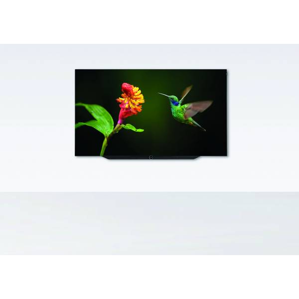 Loewe bild 7.55 OLED 56435D50 Loewe bild 7.55 OLED 56435D50