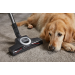 Blizzard CX1 Cat&Dog Flex PowerLine Grafietgrijs Miele Blizzard CX1 Cat&Dog Flex PowerLine Grafietgrijs Miele