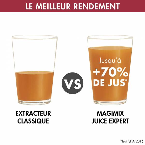 Magimix Juice Expert 3 18081 EB