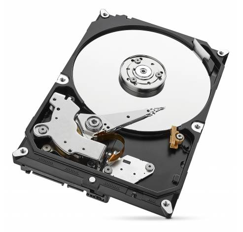 IronWolf 1TB  Seagate